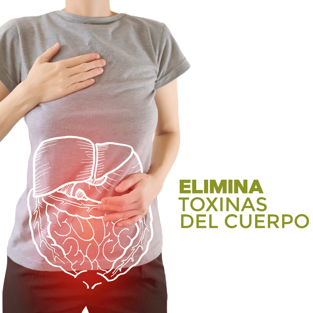 PARCHES REDUCTORES DE CELULITIS