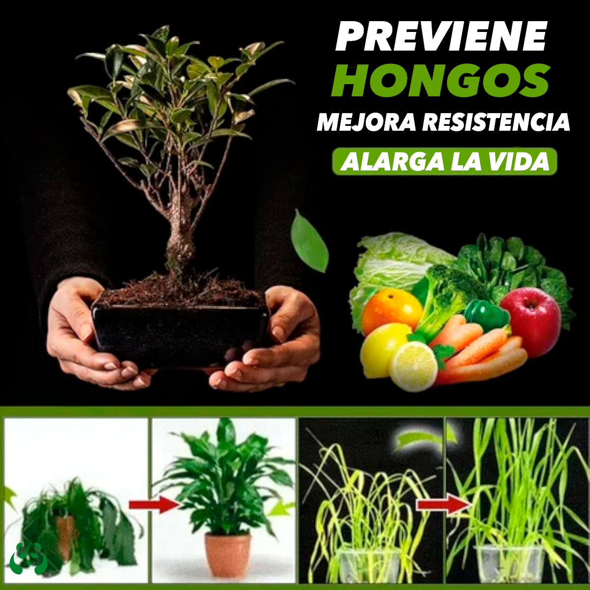 Activador de suelo - Soil Activated™