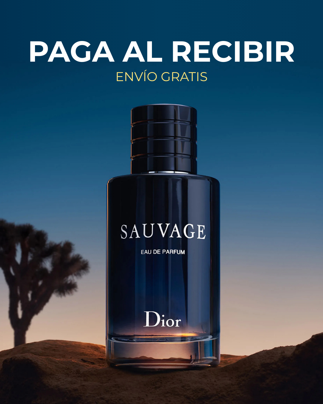 DIOR SAUVAGE - EDP 100 ML (LLEVA 2, PAGA 1)
