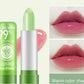 LÁPIZ LABIAL NATURAL DE ALOE VERA - NATURE