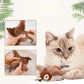 Juguete Pájaro Interactivo – Activa su Instinto – Mantén a tu gato activo y feliz todos los días