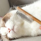 Peine de mascotas anti-pulgas y manchas - StainRemoval®