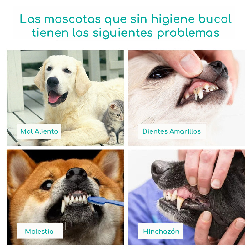 Cepillo Odontológico para mascotas - PetDent™