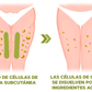 PARCHES REDUCTORES DE CELULITIS
