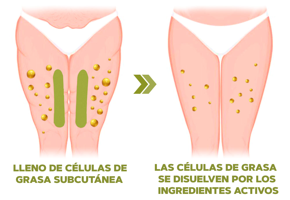 PARCHES REDUCTORES DE CELULITIS