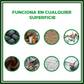 Super pegamento universal - FASTGLUES™