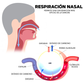 Dispositivo electrónico para apnea y ronquidos - Well Sleep™