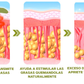PARCHES REDUCTORES DE CELULITIS
