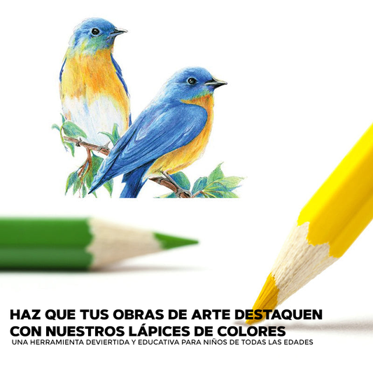 LAPICES DE COLORES - COLOREUD PENCILS™