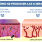 GEL PARA CONTORNO DE OJOS - OPEN-Eyes™