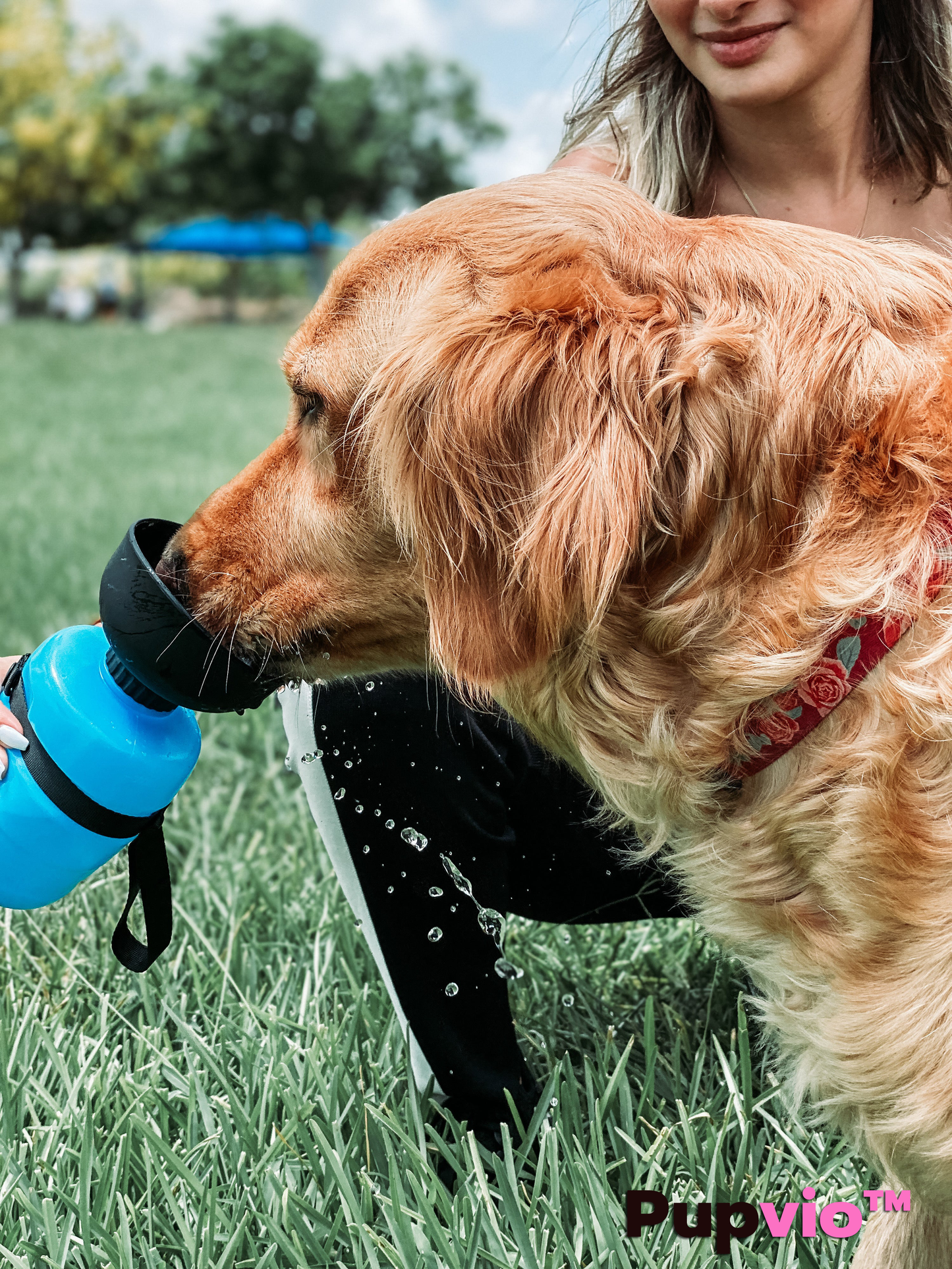 BEBEDOR DE AGUA PARA MASCOTA PORTÁTIL - PupVio™