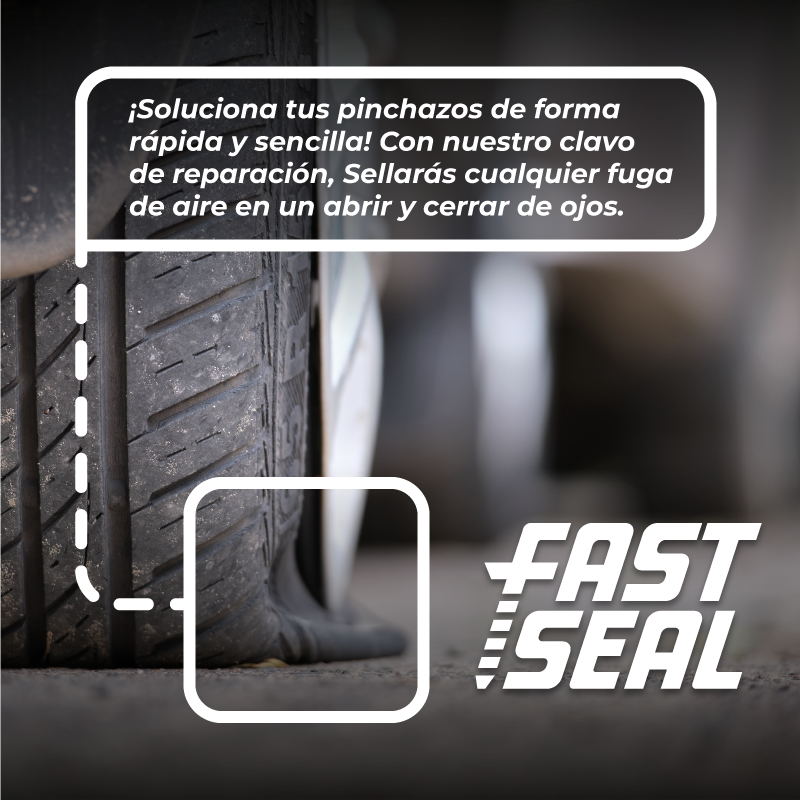 Pack de 20 Reparadores de neumáticos - FastSeal™