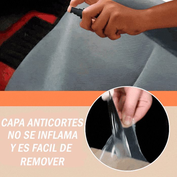 SPRAY PROTECTOR DE MUEBLES