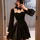 Vestido Vintage Velvet