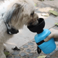 BEBEDOR DE AGUA PARA MASCOTA PORTÁTIL - PupVio™